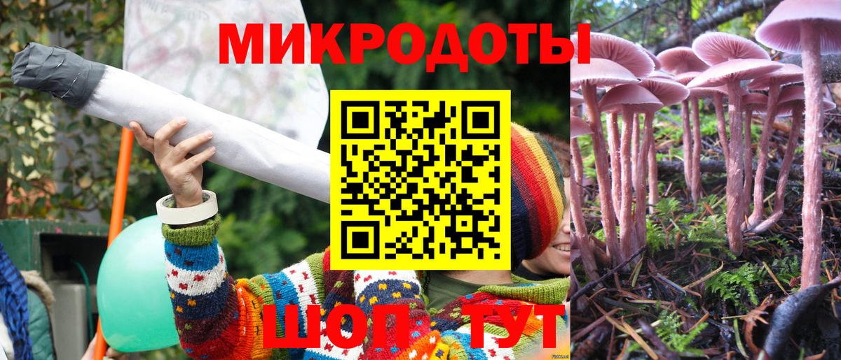 Псилоцибиновые грибы GOLDEN TEACHER Биробиджан
